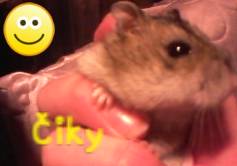 Ciky